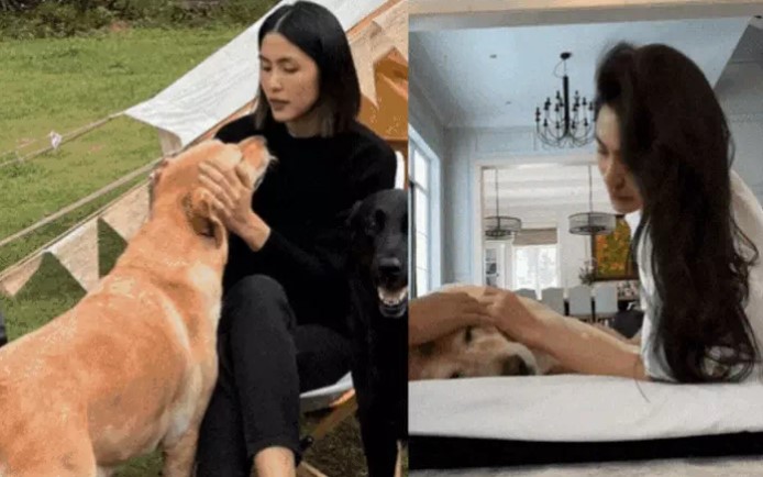 Một xã hội văn minh không được đo bằng việc con người có được phép buồn hay không, mà được soi chiếu qua cách xã hội ấy đối xử với nỗi buồn như thế nào, đặt nỗi buồn ấy ở đâu, và dành cho nó bao nhiêu không gian trong đời sống chung. BÌNH LUẬN xung quanh Rùm Beng câu chuyện chú chó của Tăng Thanh Hà, Câu chuyện chú chó cưng của Tăng Thanh Hà, Lùm xùm quanh chuyện chó cưng của Tăng Thanh Hà, Toàn bộ thông tin chú chó cưng của Tăng Thanh Hà, Thảo luận quanh chuyện chú chó cưng của Tăng Thanh Hà, Tăng Thanh Hà, Tin tức Giải trí, Thấy gì từ việc chó cưng của Tăng Thanh Hà, Tin tức nóng 24h trong ngày, Tin tức teen, Clip hot trend trên Facebook hôm nay, Hot trend TikToker, Clip trend hot nhất hôm nay, Clip trend