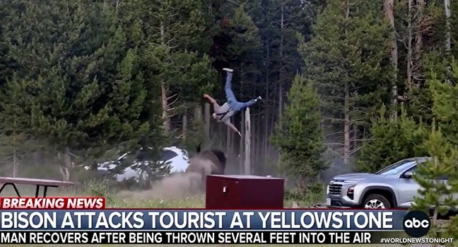 Viral Video Internet Today | Yellowstone Bison Attack | Grandfather Seriously Injured While Walking with Grandson