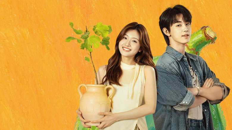 Tình Ca Kashgar - Bloom Life (2026) Vietsub Full HD: Ba Chị Em Giữa Thành Cổ, Cùng Nhau Chữa Lành Và Tìm Lại Hạnh Phúc