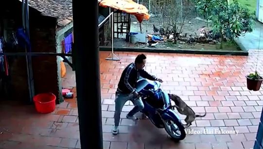 20-10 đến nhà người yêu chơi Gặp ngay Con Chó Đẻ, Thôi vứt xe đấy Anh Về ==)))