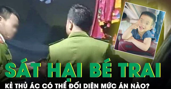Clip đối tượng sát hại bé trai 3 tuổi ở Sóc Sơn đối diện mức án nào?