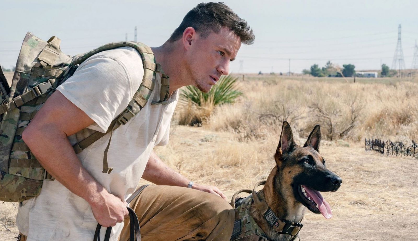 Watch Dog (2022) Full Movie Free Online