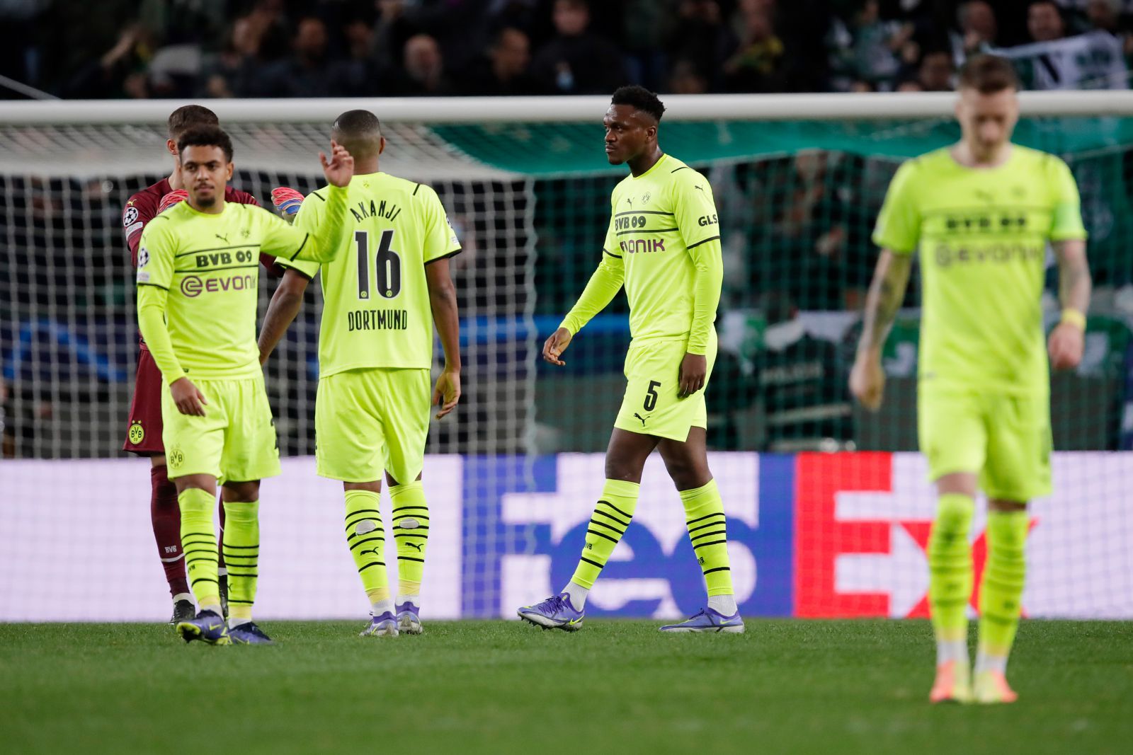 Sporting 3-1 Borussia Dortmund 2021.11.24 (20h00) Full Goals Highlight Extended
